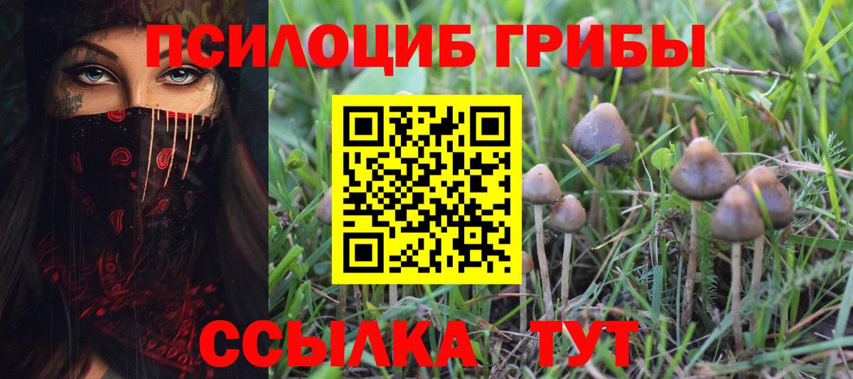 Богданович  Галлюциногенные грибы Magic Shrooms  Вход с VPN 