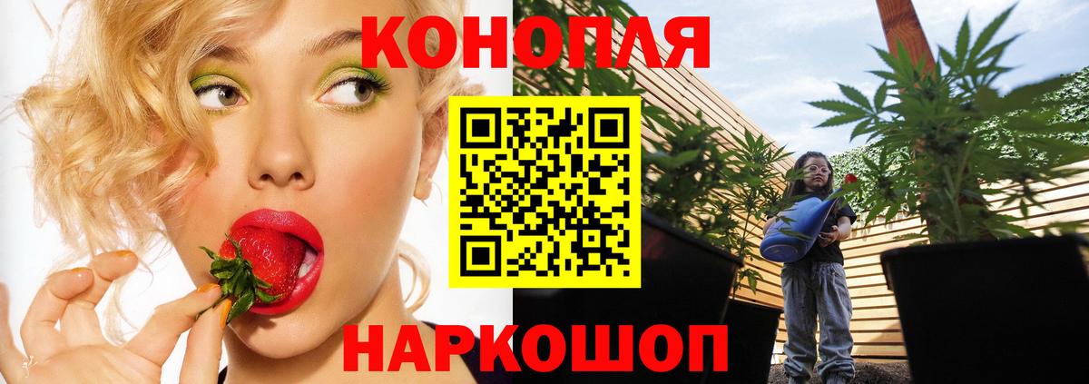 Шишки марихуана OG Kush  Вход с VPN  Каннабис Ganja  МАРИХУАНА сатива  Богданович 